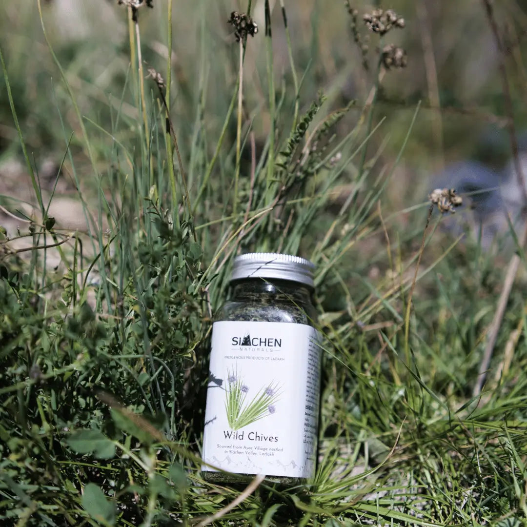 Wild Chives of Ladakh