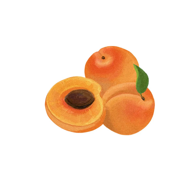 APRICOT