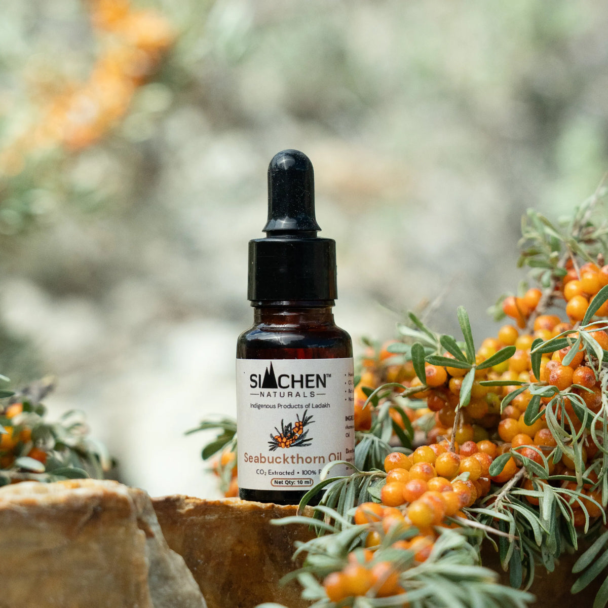 Seabuckthorn Face Serum | Pure CO2 Extracted Oil from Siachen Valley, Ladakh