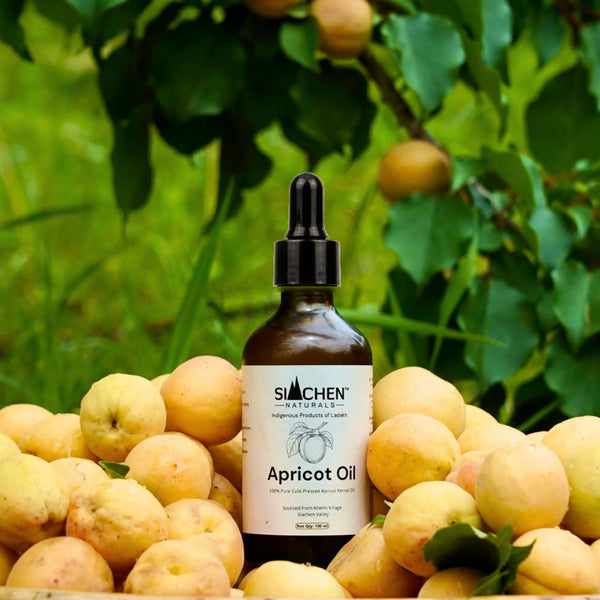 100% Cold Pressed Apricot Oil | 100 ml