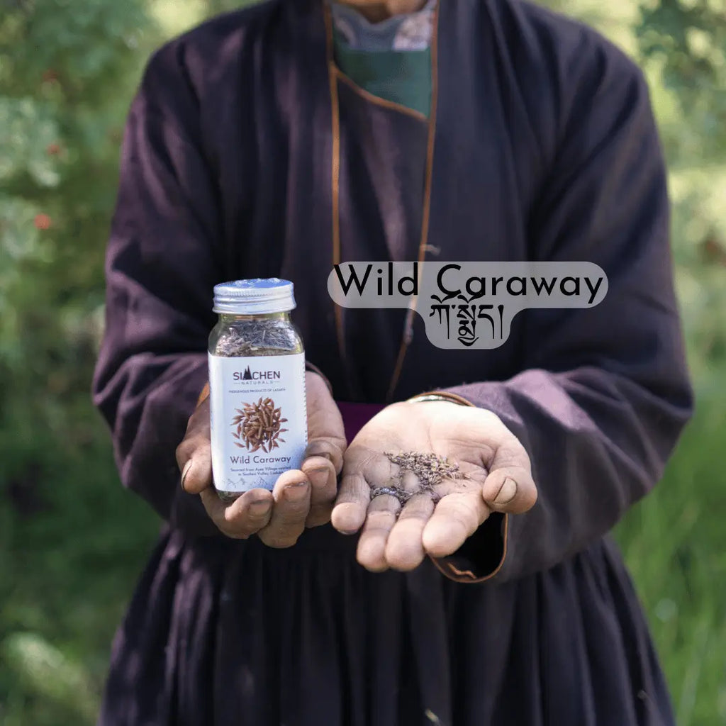 wild-caraway-seeds-ladakh