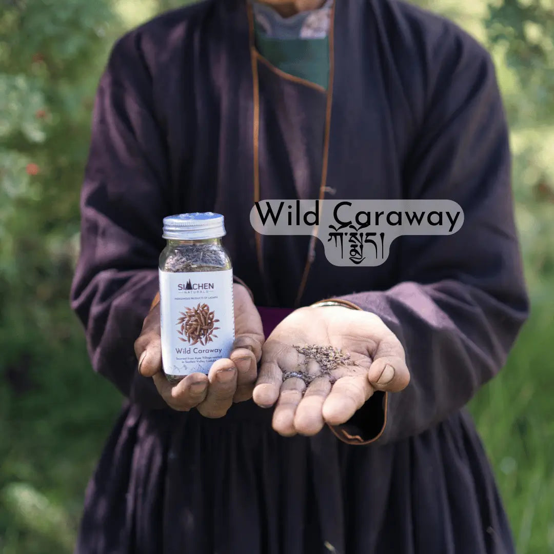wild-caraway-seeds-ladakh