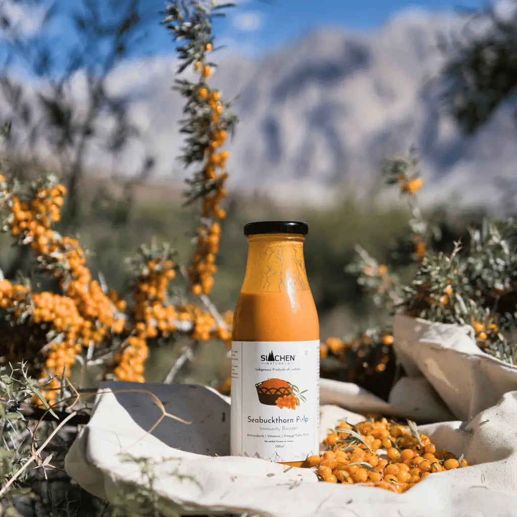 Seabuckthorn Pulp Price