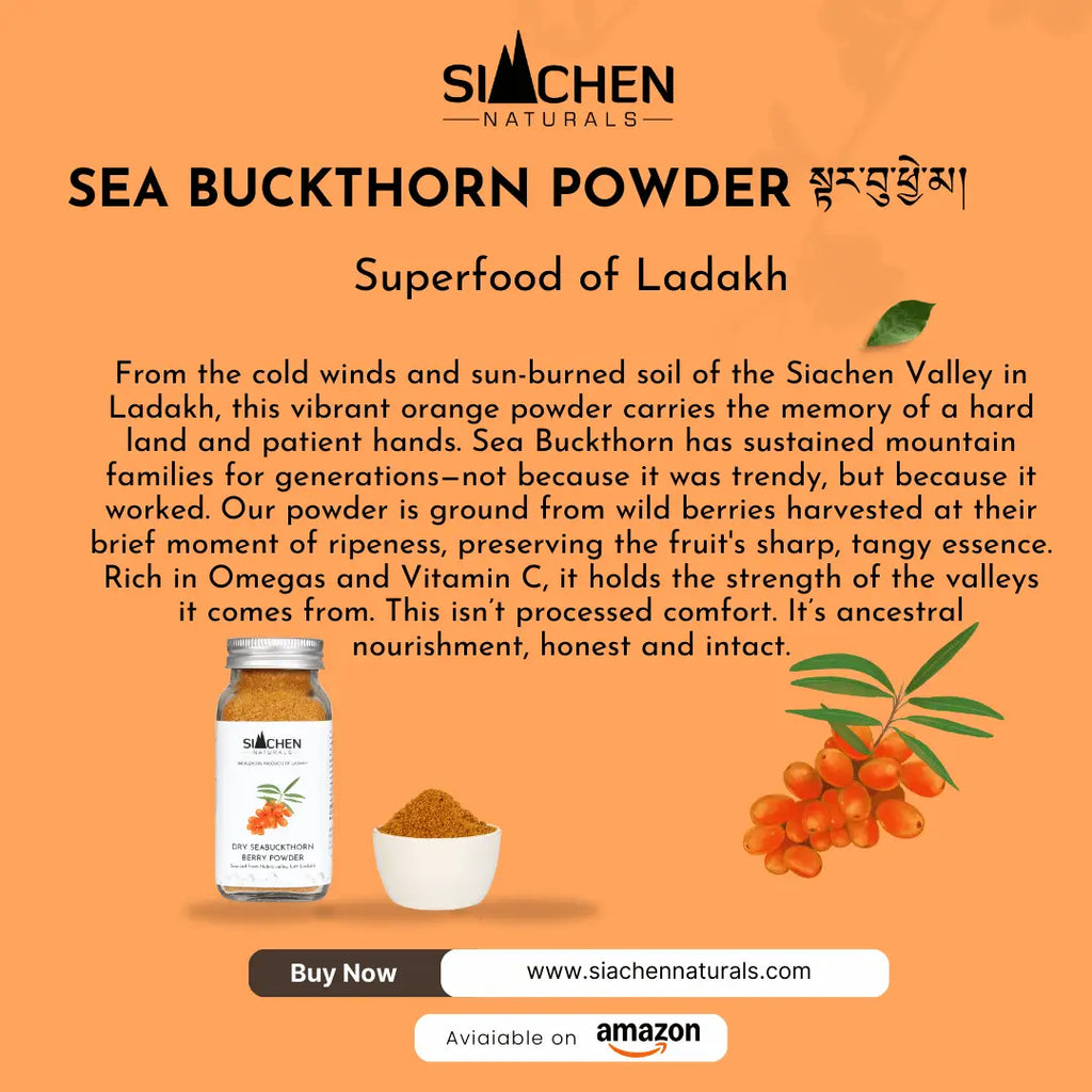 Buy organic sea buckthorn powder
