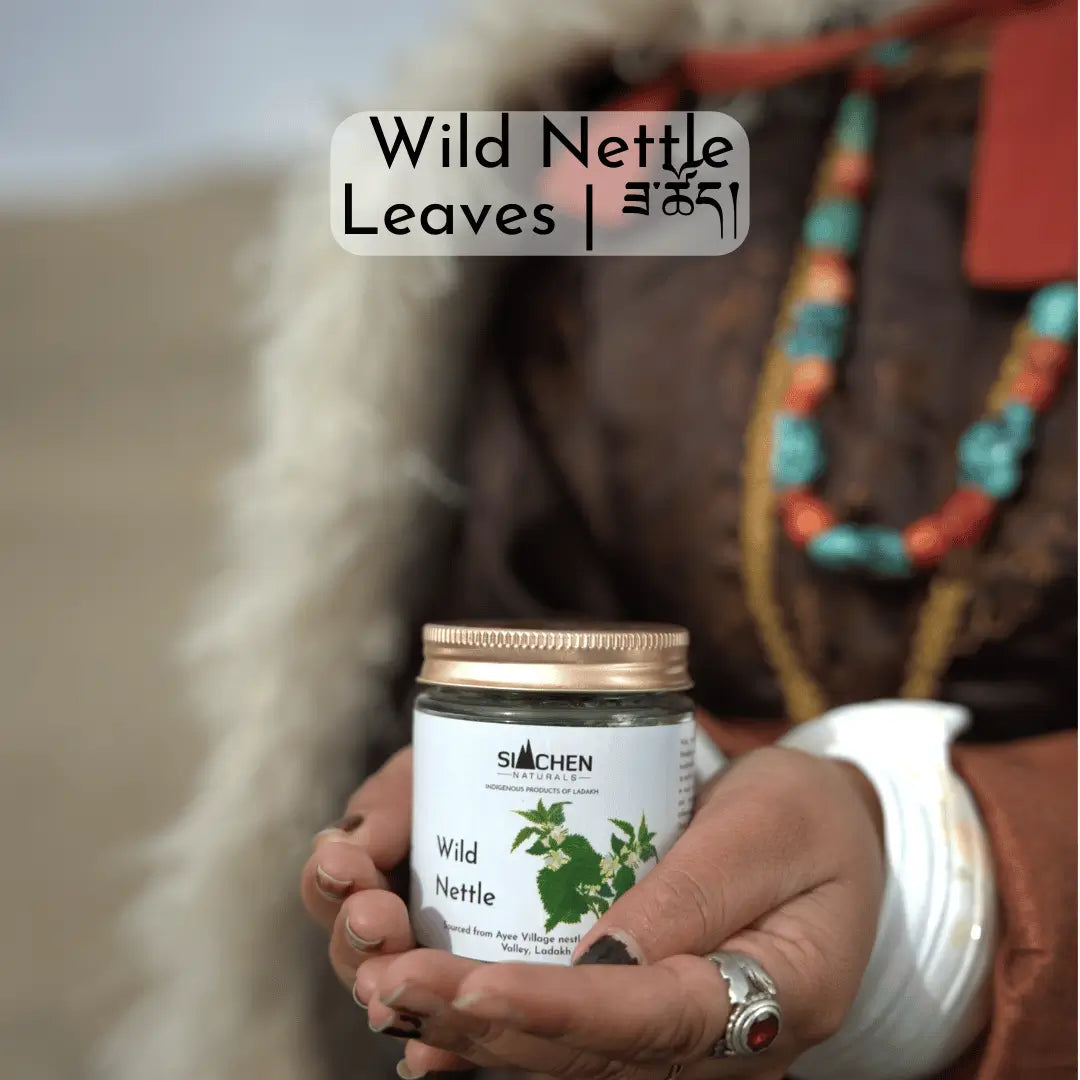  Wild Nettle product with health benefits 