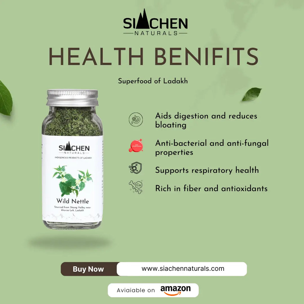  Wild Nettle product with health benefits 