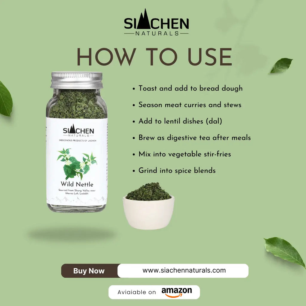 wild-nettle-leaves-ladakh-superfood, how to use 