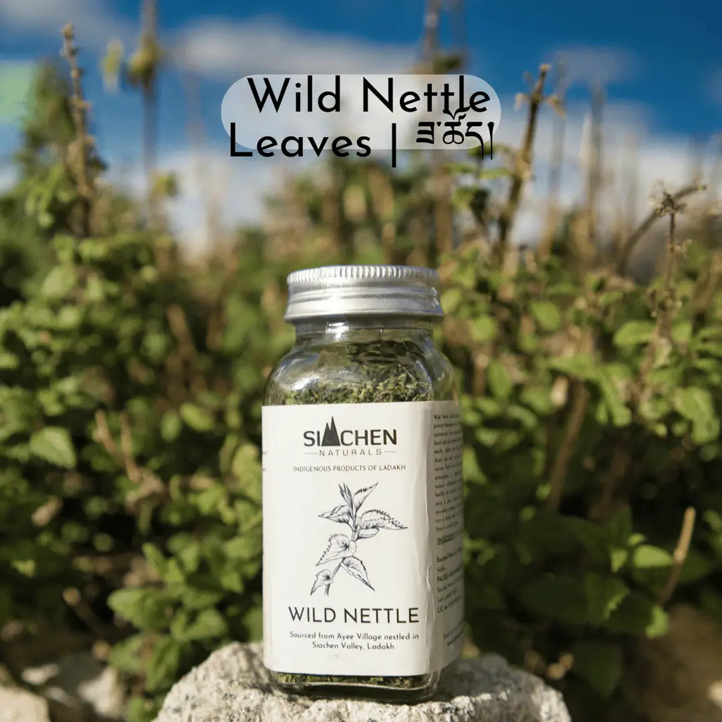 Bottle of wild nettle leaves with a natural background