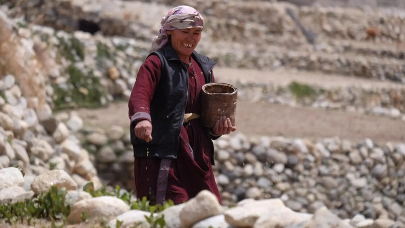 Person holding a pot in a rocky outdoor setting