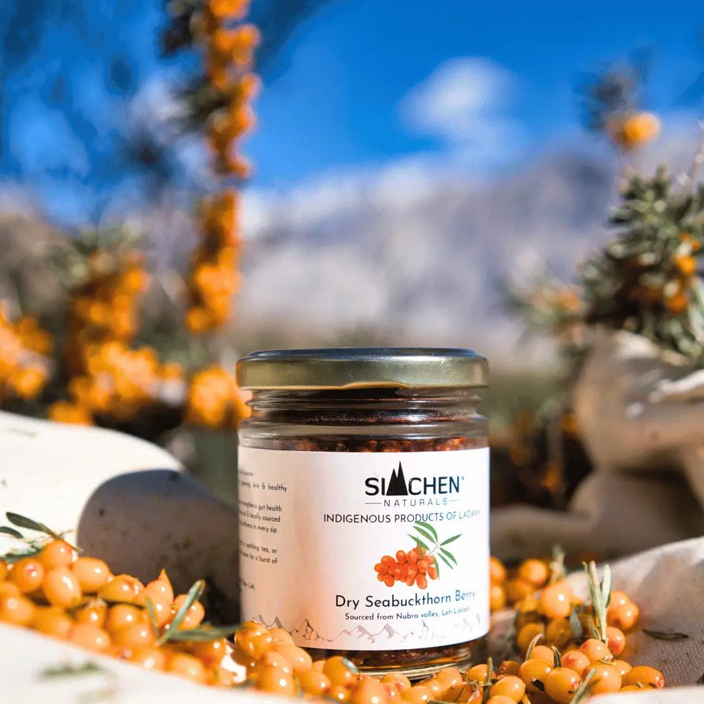  Dry Sea buckthorn Berries with sea buckthorn berries and plants in the background