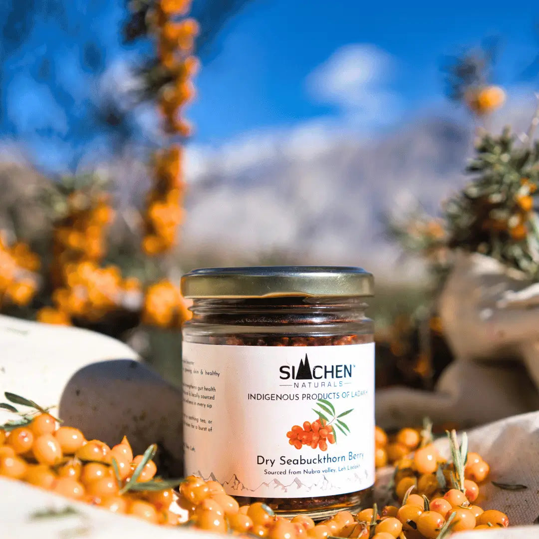  Dry Sea buckthorn Berries with sea buckthorn berries and plants in the background
